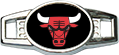 Chicago Bulls Emblem