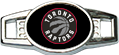 Toronto Raptors Emblem